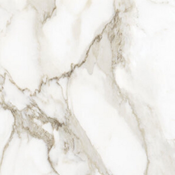 Picture of Anatolia Tile & Stone - La Marca 24 x 24 Calacatta Paonazzo Polished