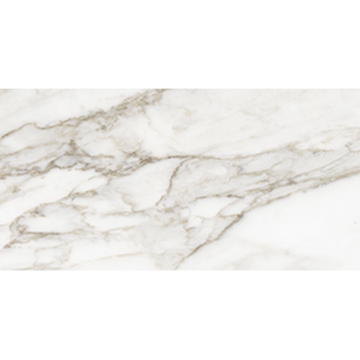 Picture of Anatolia Tile & Stone - La Marca 12 x 24 Calacatta Paonazzo Polished