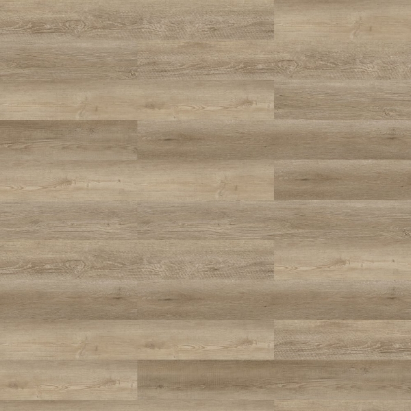 Picture of Shaw Contract - COREtec Repose Cape