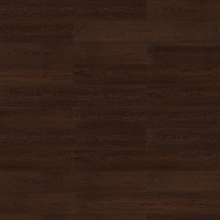 Picture of Shaw Contract - COREtec Repose Elk