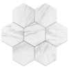 Picture of Elon Tile & Stone - Hexagon 8 Neo White