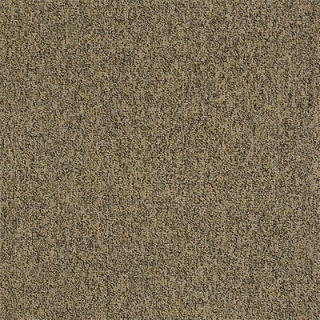 Picture of Philadelphia Commercial by Shaw - Multiplicity 18 x 36 Abundance