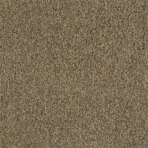 Picture of Philadelphia Commercial by Shaw - Multiplicity 18 x 36 Abundance