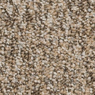 Picture of Philadelphia Commercial by Shaw - Lewis Make It Work