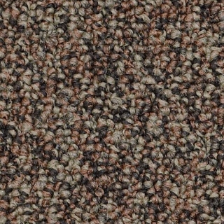 Picture of Philadelphia Commercial by Shaw - Lewis Plan Ahead