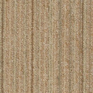 Picture of Philadelphia Commercial by Shaw - Success CT Fortunate