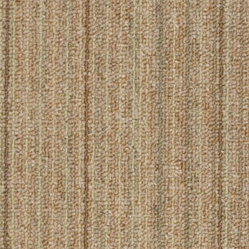 Picture of Philadelphia Commercial by Shaw - Success CT Fortunate