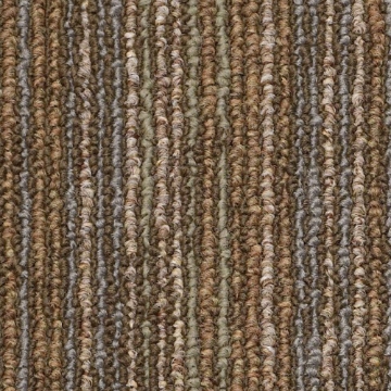 Picture of Philadelphia Commercial by Shaw - Circuit CT Energize