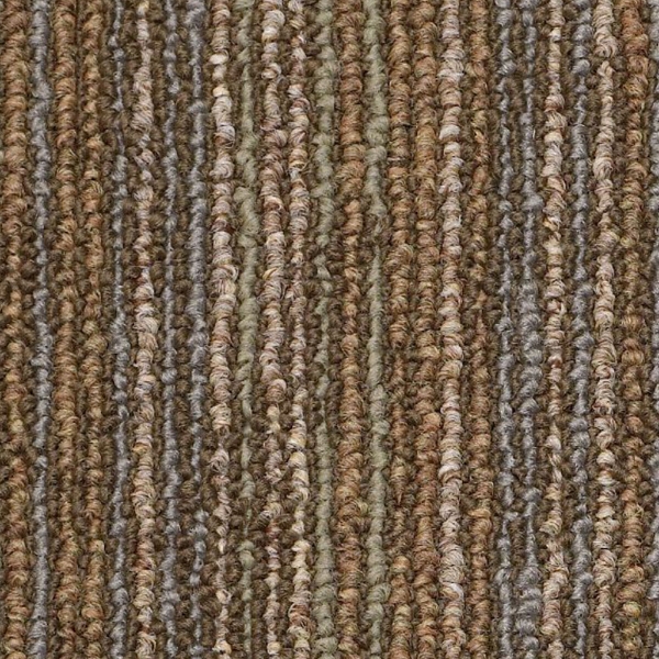 Picture of Philadelphia Commercial by Shaw - Circuit CT Energize