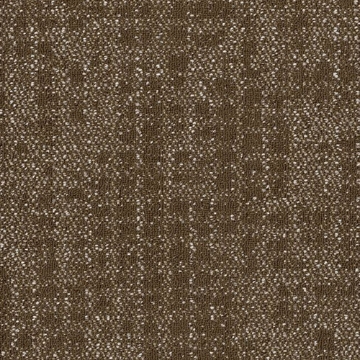 Picture of Philadelphia Commercial by Shaw - Weave It 18 x 36 Thread