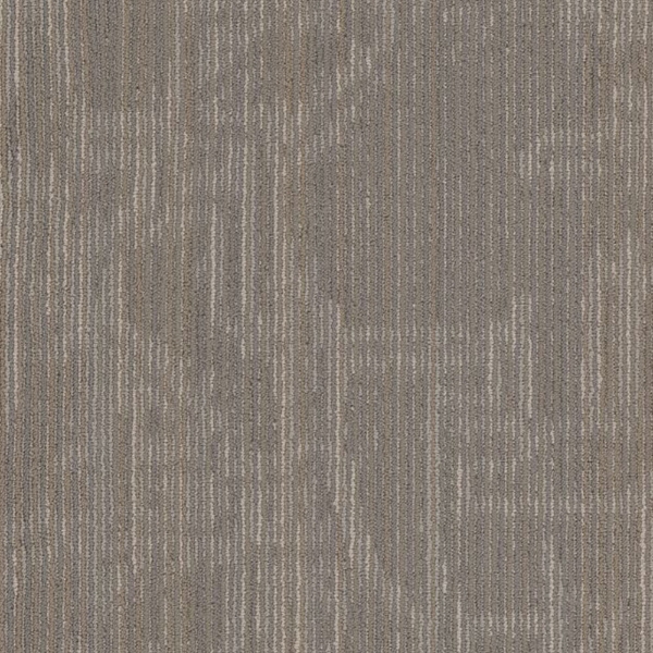 Picture of Philadelphia Commercial by Shaw - Encrypt 18 x 36 Symbols