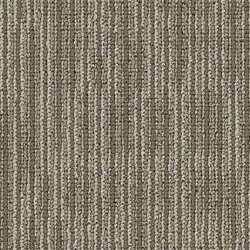 Picture of Philadelphia Commercial by Shaw - Amity Brilliant