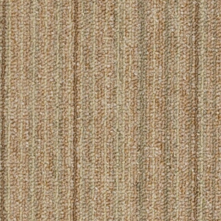 Picture of Philadelphia Commercial by Shaw - Hit It Big Fortunate