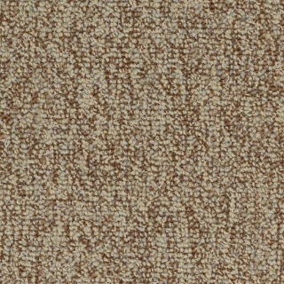 Picture of Philadelphia Commercial by Shaw - Abundance Plethora