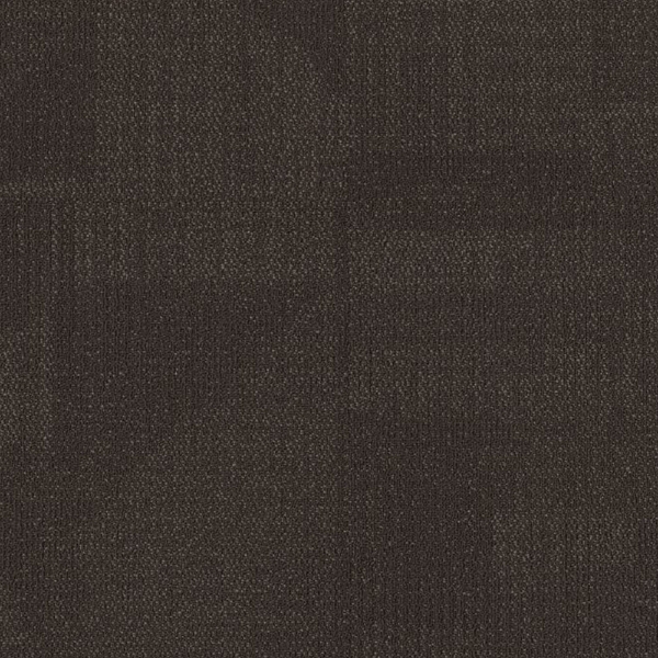 Picture of Philadelphia Commercial by Shaw - Reemerge Alter