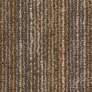 Picture of Philadelphia Commercial by Shaw - SP209 Energize