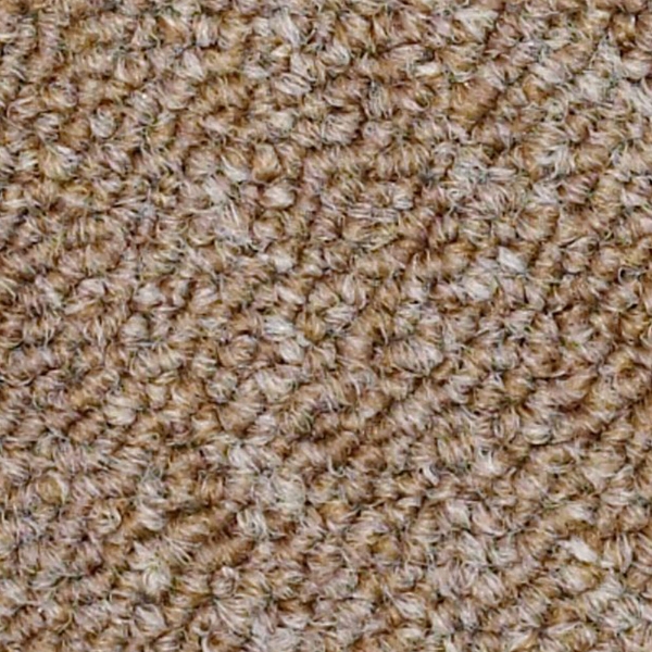 Picture of Philadelphia Commercial by Shaw - SP309 Majority