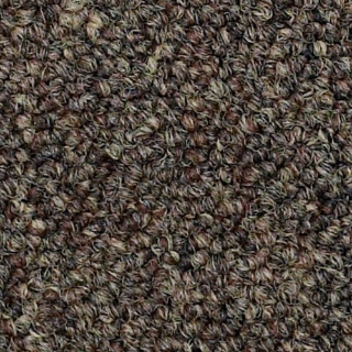 Picture of Philadelphia Commercial by Shaw - SP309 Eminence