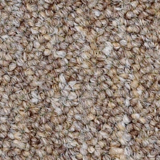 Picture of Philadelphia Commercial by Shaw - SP310 Mentor