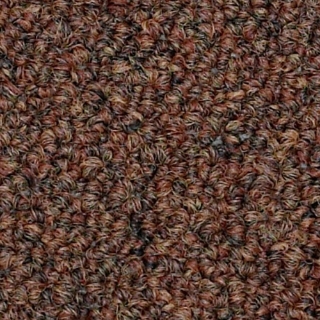 Picture of Philadelphia Commercial by Shaw - SP310 Specialist