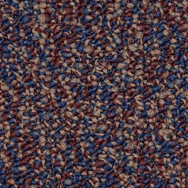 Picture of Philadelphia Commercial by Shaw - SP404 Exercise