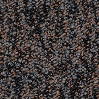 Picture of Philadelphia Commercial by Shaw - SP404 Stay Active