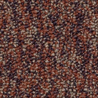 Picture of Philadelphia Commercial by Shaw - SP404 Counsel