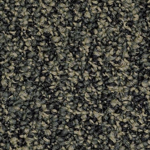 Picture of Philadelphia Commercial by Shaw - SP404 Hold The Line