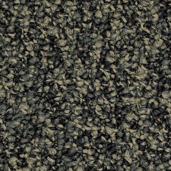 Picture of Philadelphia Commercial by Shaw - SP405 Boundless