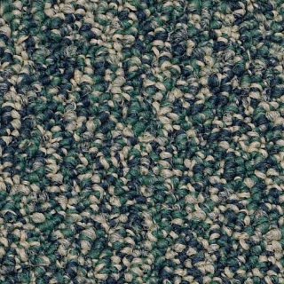 Picture of Philadelphia Commercial by Shaw - SP405 Infinity