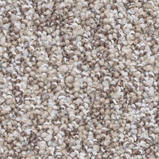 Picture of Philadelphia Commercial by Shaw - SP405 Control