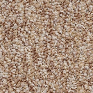 Picture of Philadelphia Commercial by Shaw - SP405 Potential