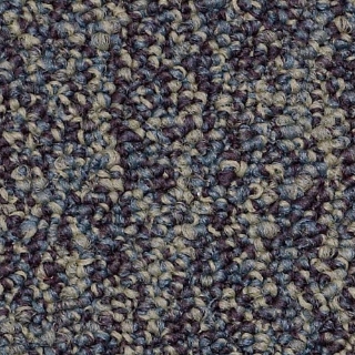 Picture of Philadelphia Commercial by Shaw - SP405 Eternity