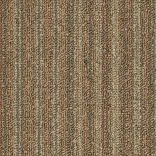 Picture of Philadelphia Commercial by Shaw - SP520 Strike It Rich