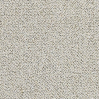 Picture of Philadelphia Commercial by Shaw - SP714 Body Double