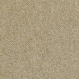 Picture of Philadelphia Commercial by Shaw - SP714 Copy Cat