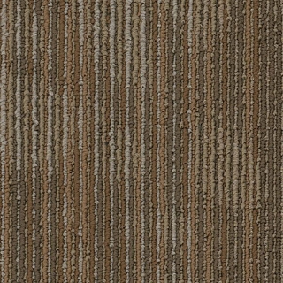 Picture of Philadelphia Commercial by Shaw - SP746 Raw