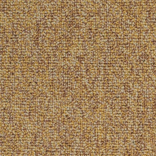 Picture of Philadelphia Commercial by Shaw - SP983 Expansive