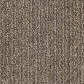 Picture of Philadelphia Commercial by Shaw - SPJ10 18 x 36 Rework