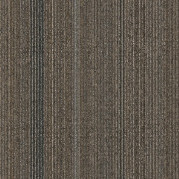 Picture of Pentz - Linea Straight Forward