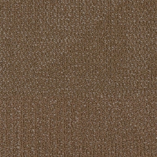 Picture of Philadelphia Commercial by Shaw - SPJ08 Evolve