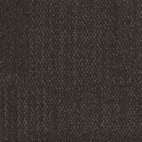 Picture of Philadelphia Commercial by Shaw - SPJ08 Alter