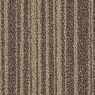 Picture of Philadelphia Commercial by Shaw - SPJ07 Shift