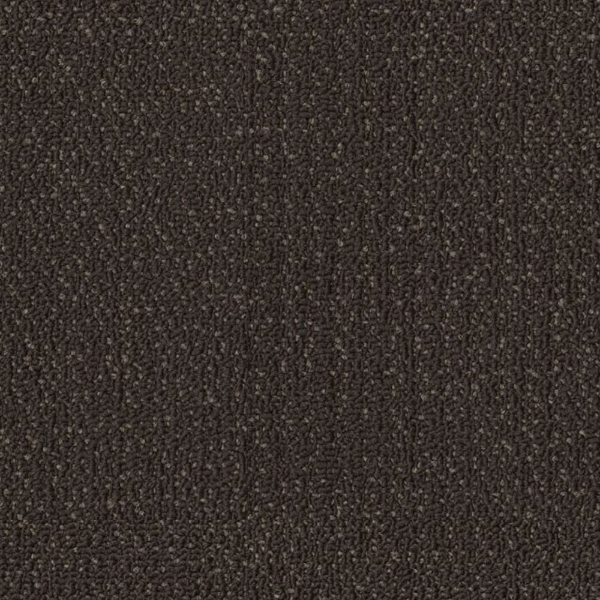 Picture of Philadelphia Commercial by Shaw - SPJ06 Alter