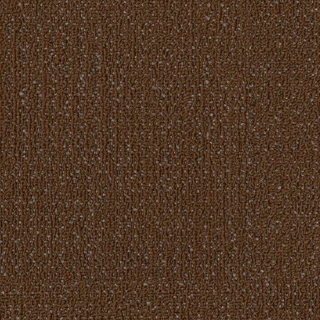 Picture of Philadelphia Commercial by Shaw - SPJ06 Create