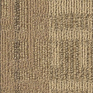 Picture of Philadelphia Commercial by Shaw - SP251 Bond