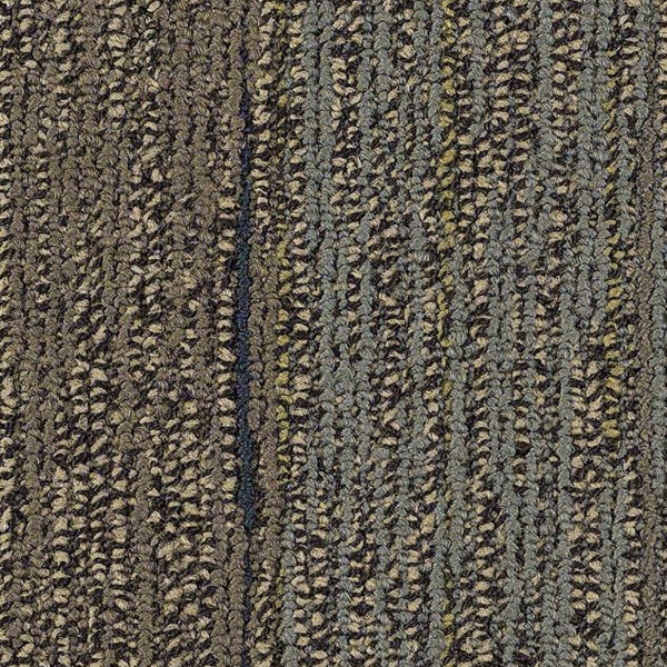 Picture of Philadelphia Commercial by Shaw - SP252 Blend