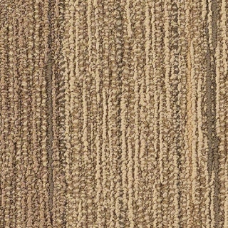 Picture of Philadelphia Commercial by Shaw - SP252 Bond