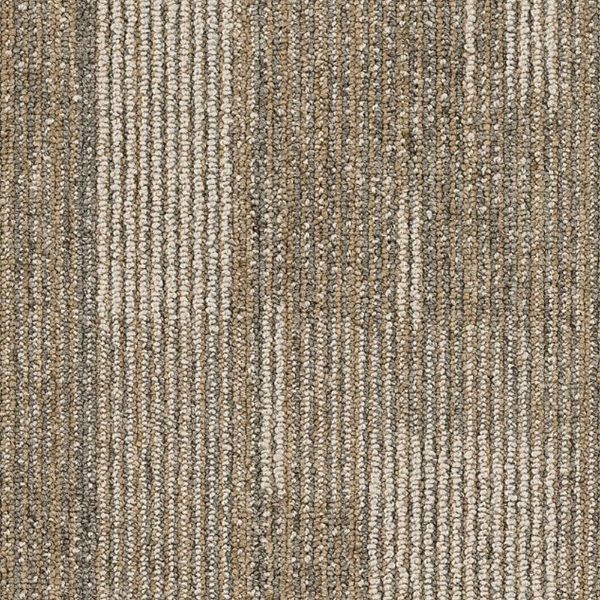 Picture of Philadelphia Commercial by Shaw - SP722 18 x 36 Astute