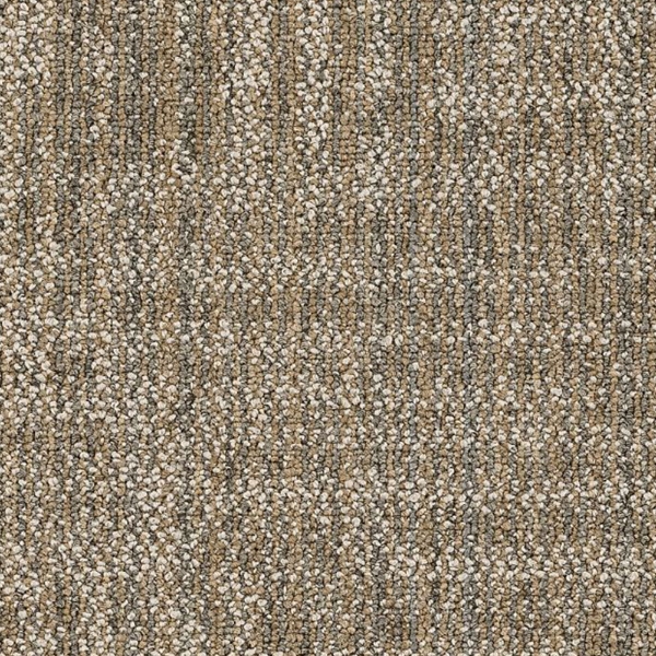 Picture of Philadelphia Commercial by Shaw - SP723 18 x 36 Astute